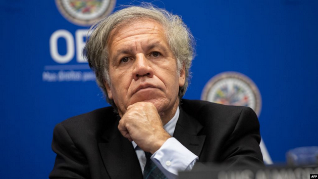 Des organisations de la société civile réagissent aux déclarations du secrétaire général de l’OEA